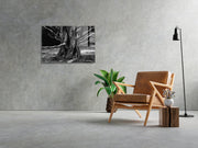 970GLS2242Tribo Home