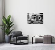 970GLS2358Tribo Home