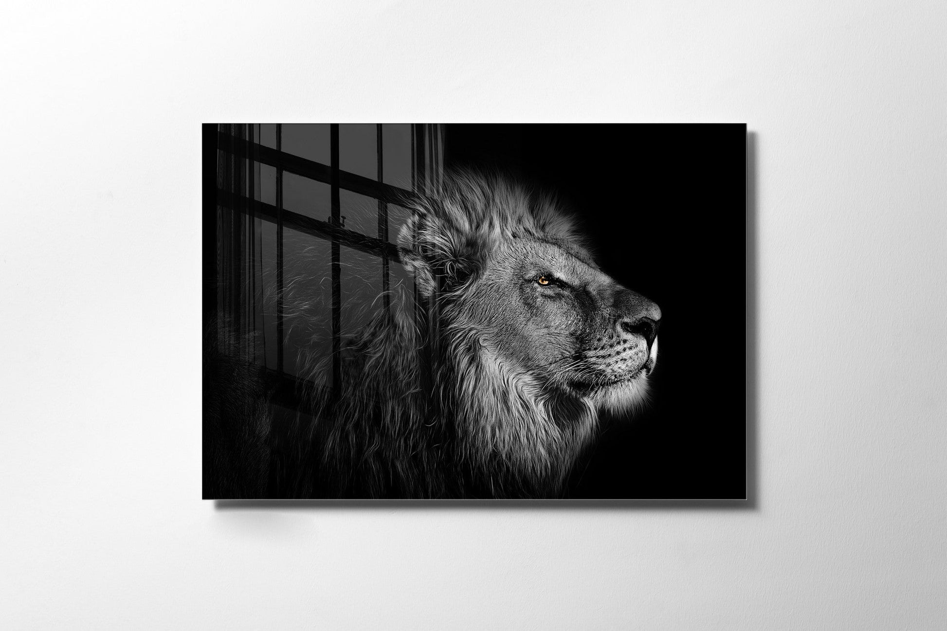 970GLS2370Tribo Home