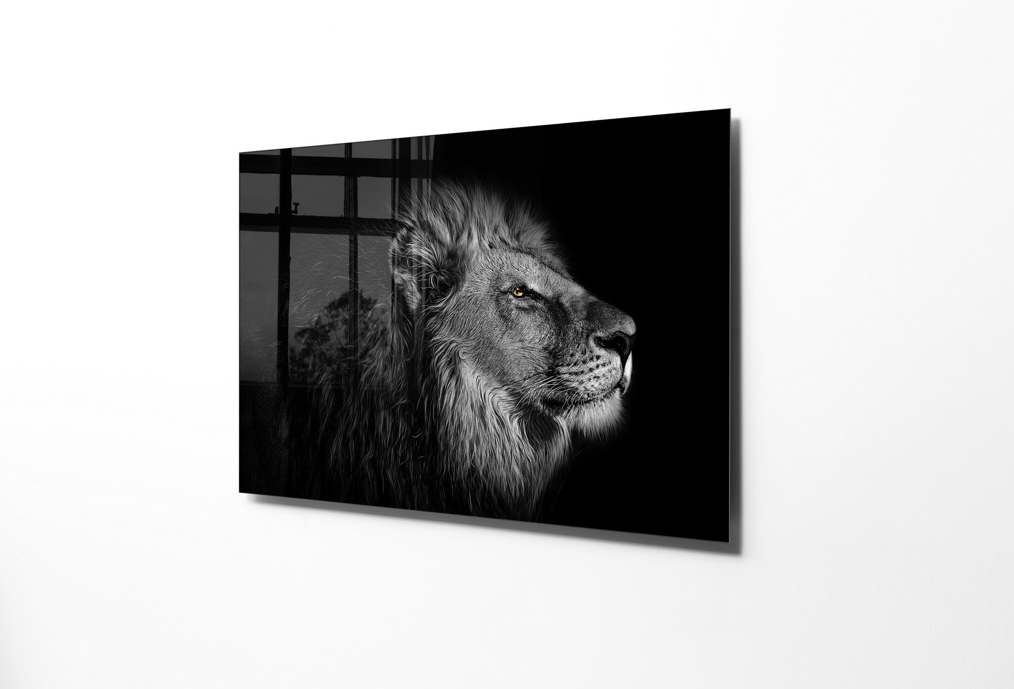 970GLS2370Tribo Home