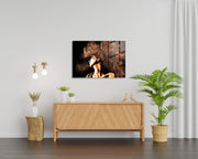 970GLS2388Tribo Home