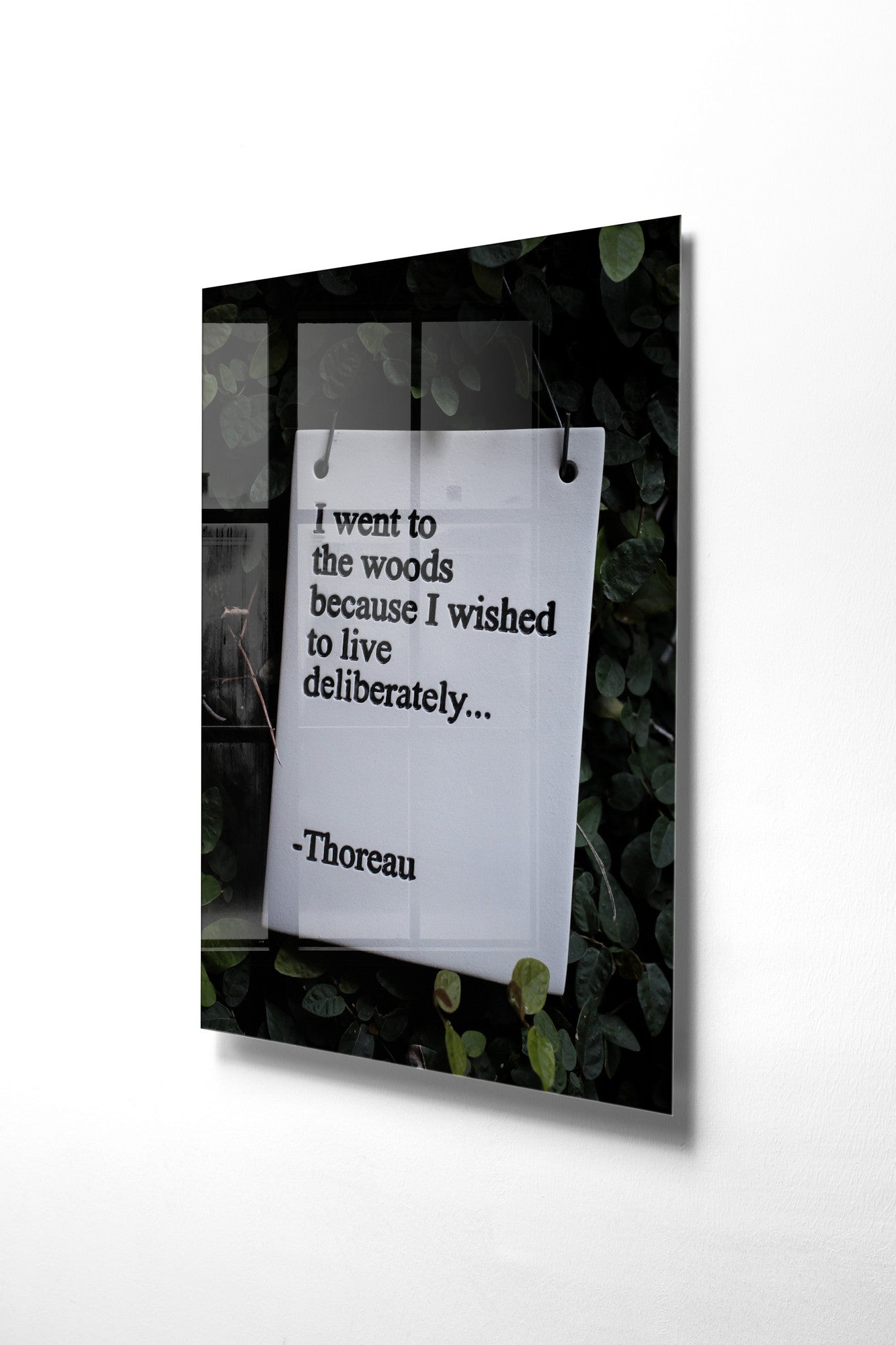 970GLS2393Tribo Home