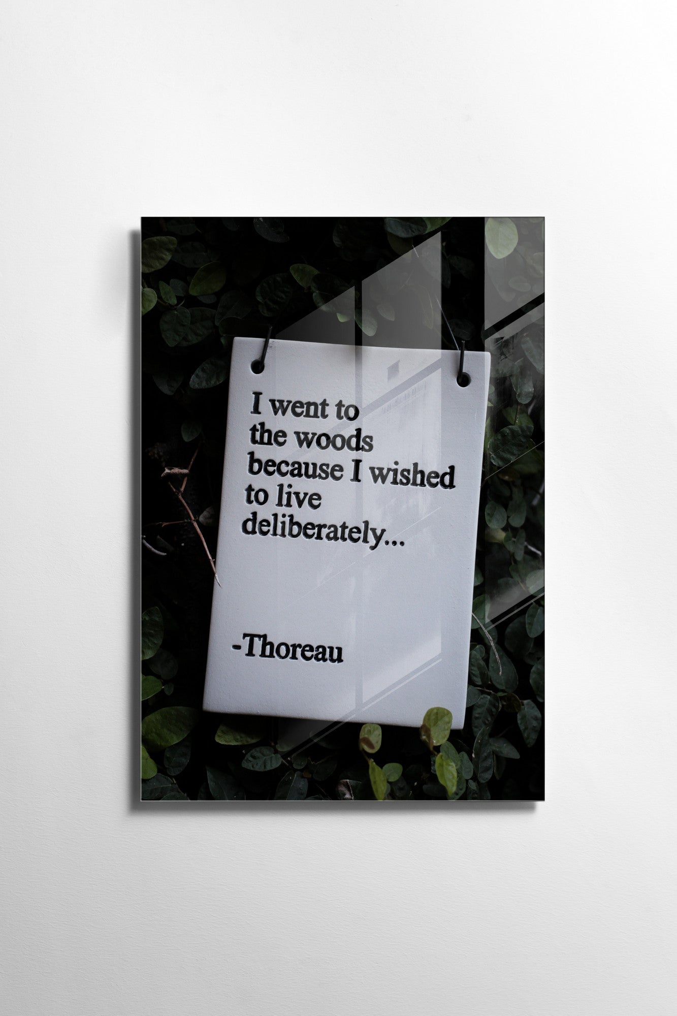 970GLS2393Tribo Home