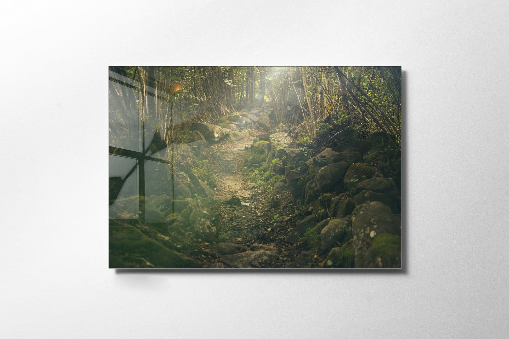 970GLS2427Tribo Home