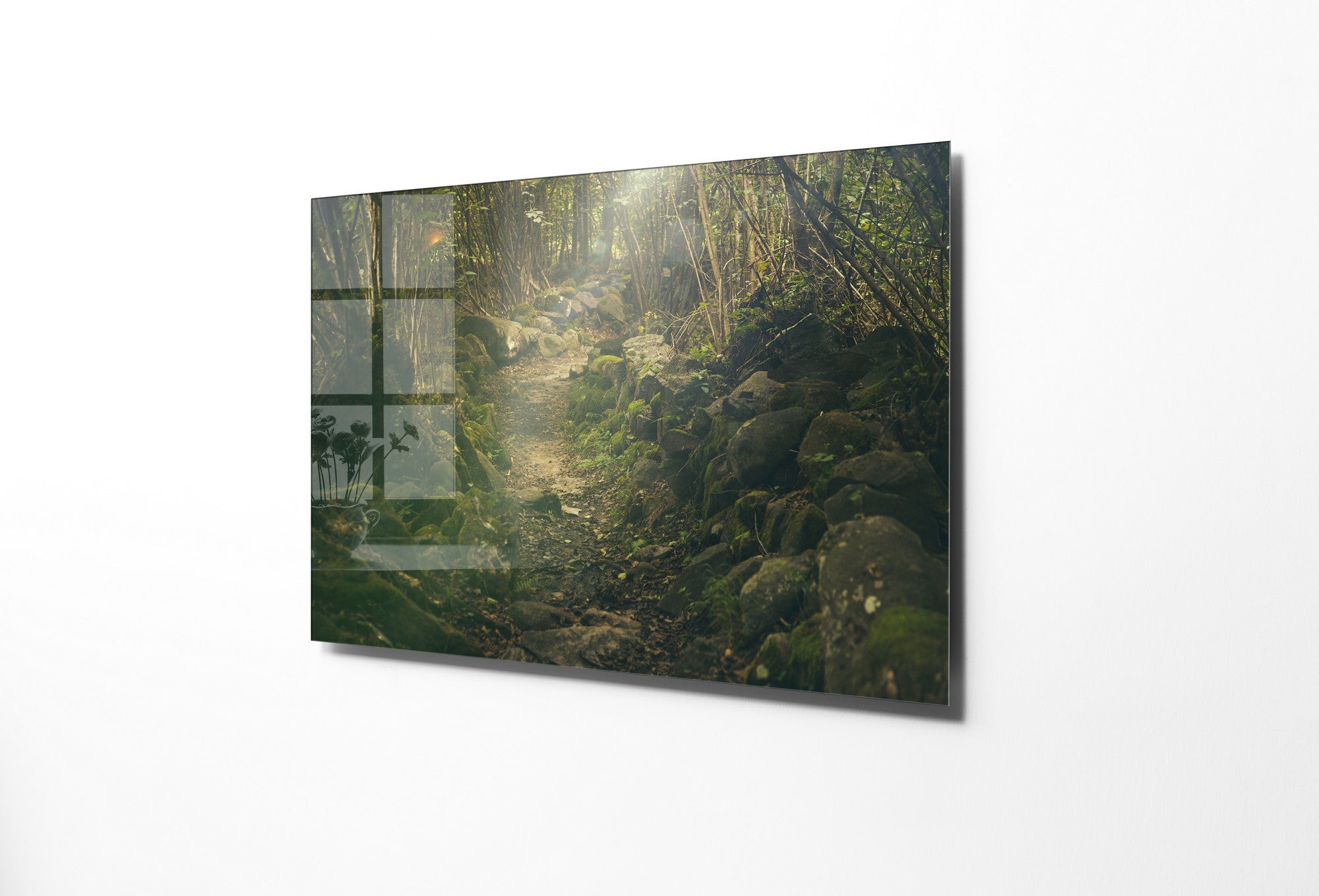 970GLS2427Tribo Home