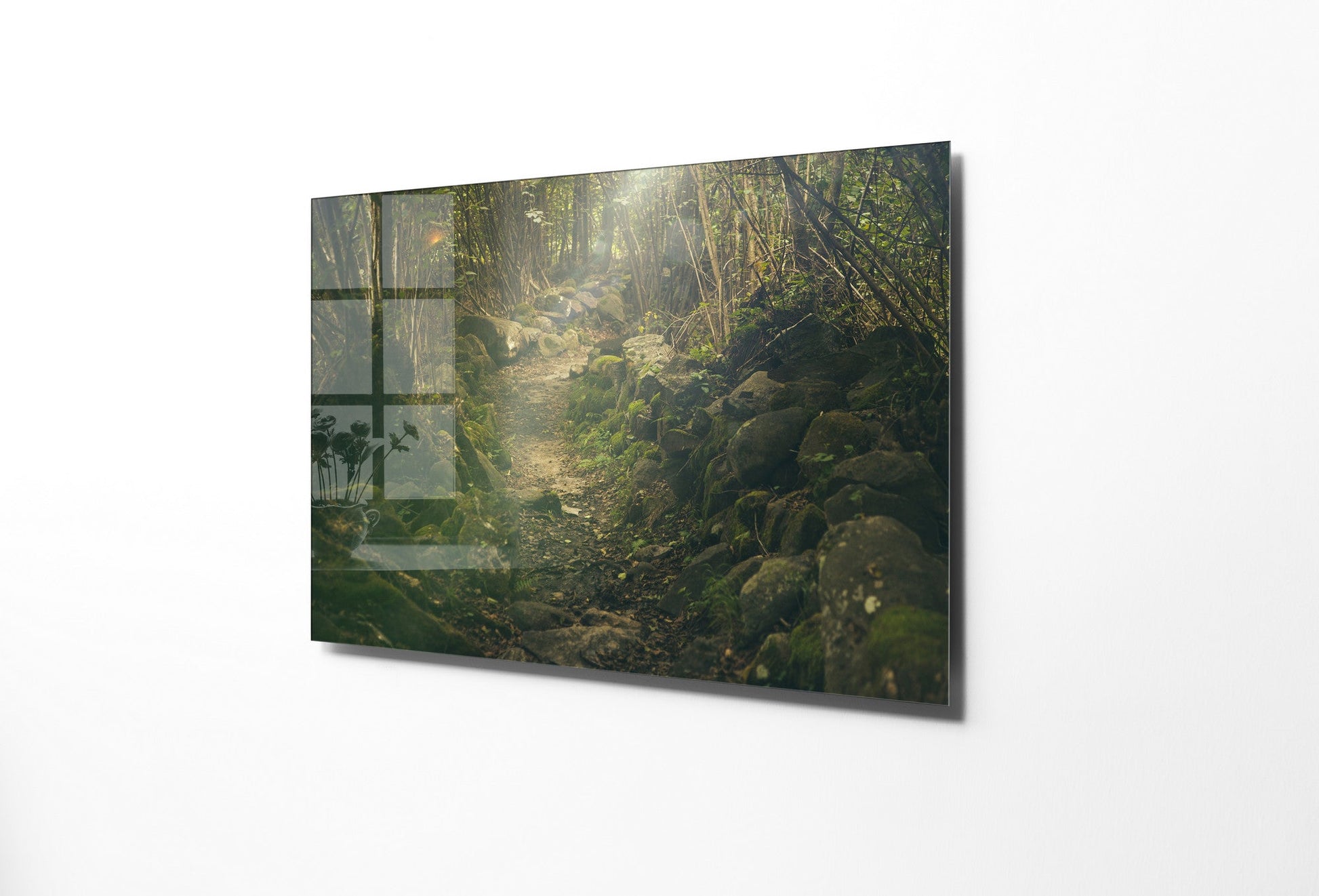 970GLS2428Tribo Home