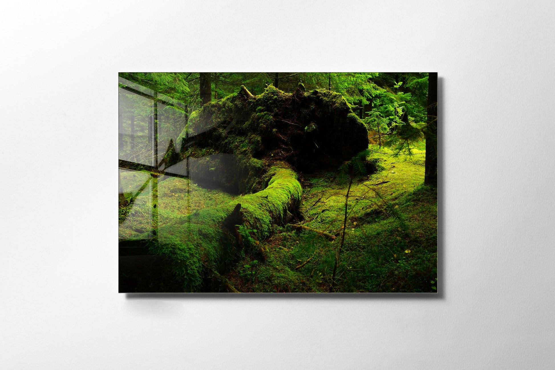 970GLS2430Tribo Home