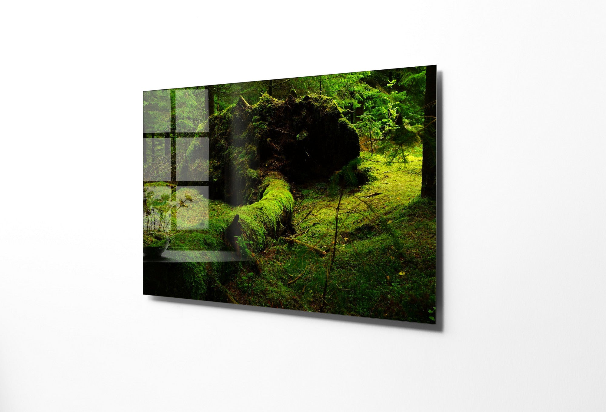 970GLS2431Tribo Home