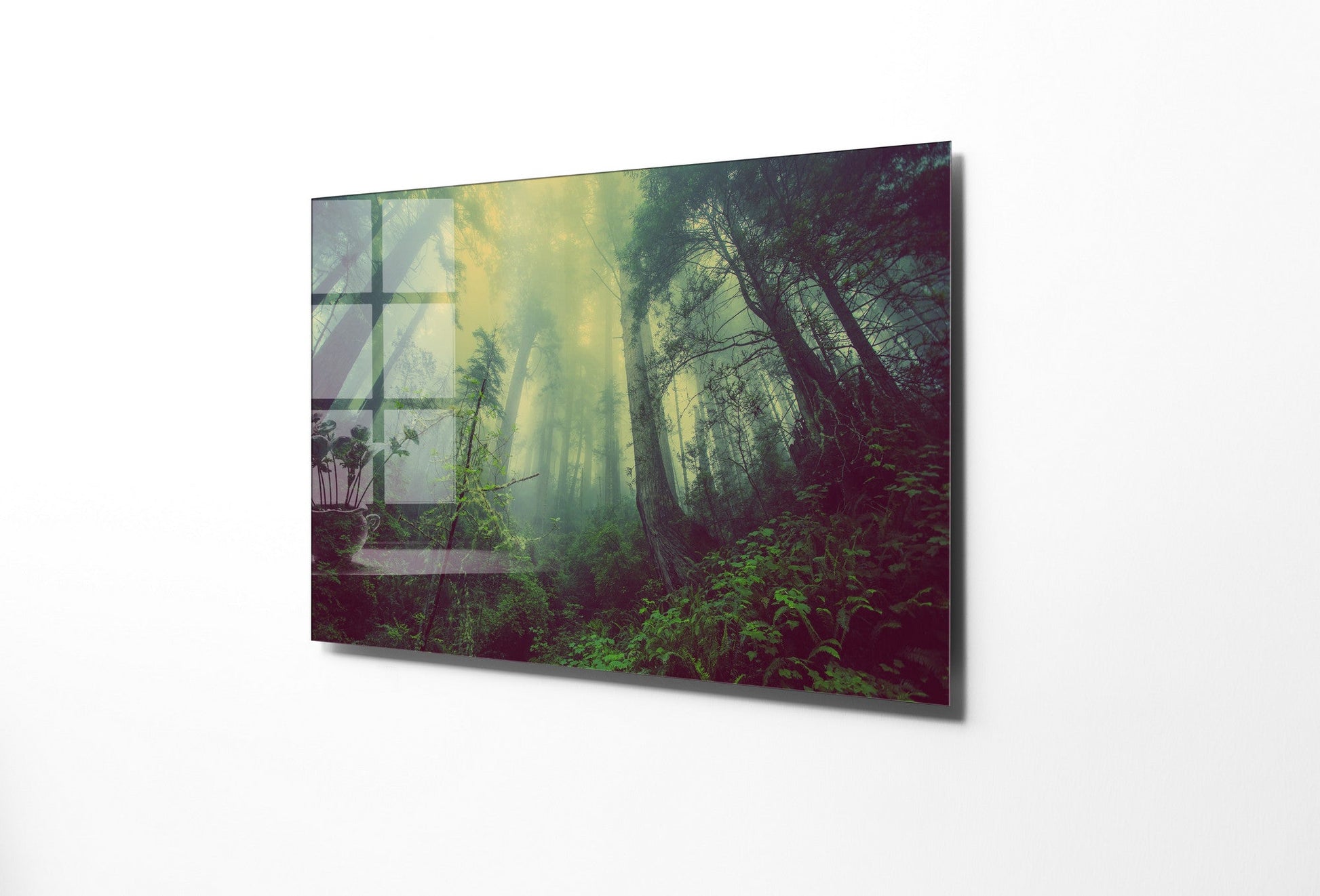 970GLS2433Tribo Home