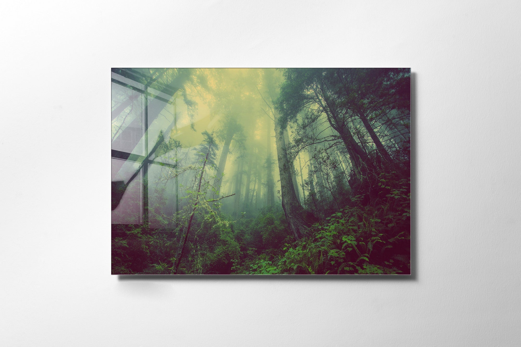 970GLS2436Tribo Home