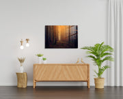 970GLS2438Tribo Home