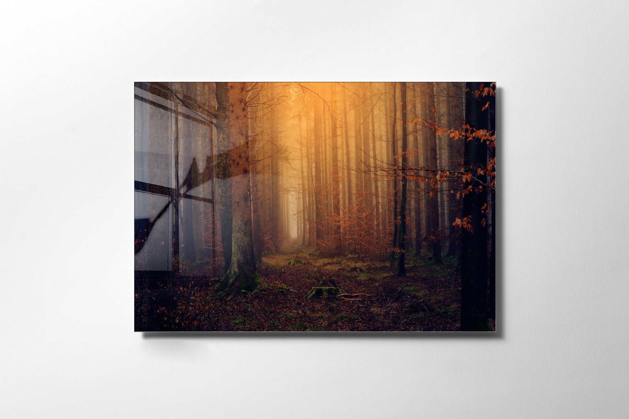 970GLS2440Tribo Home