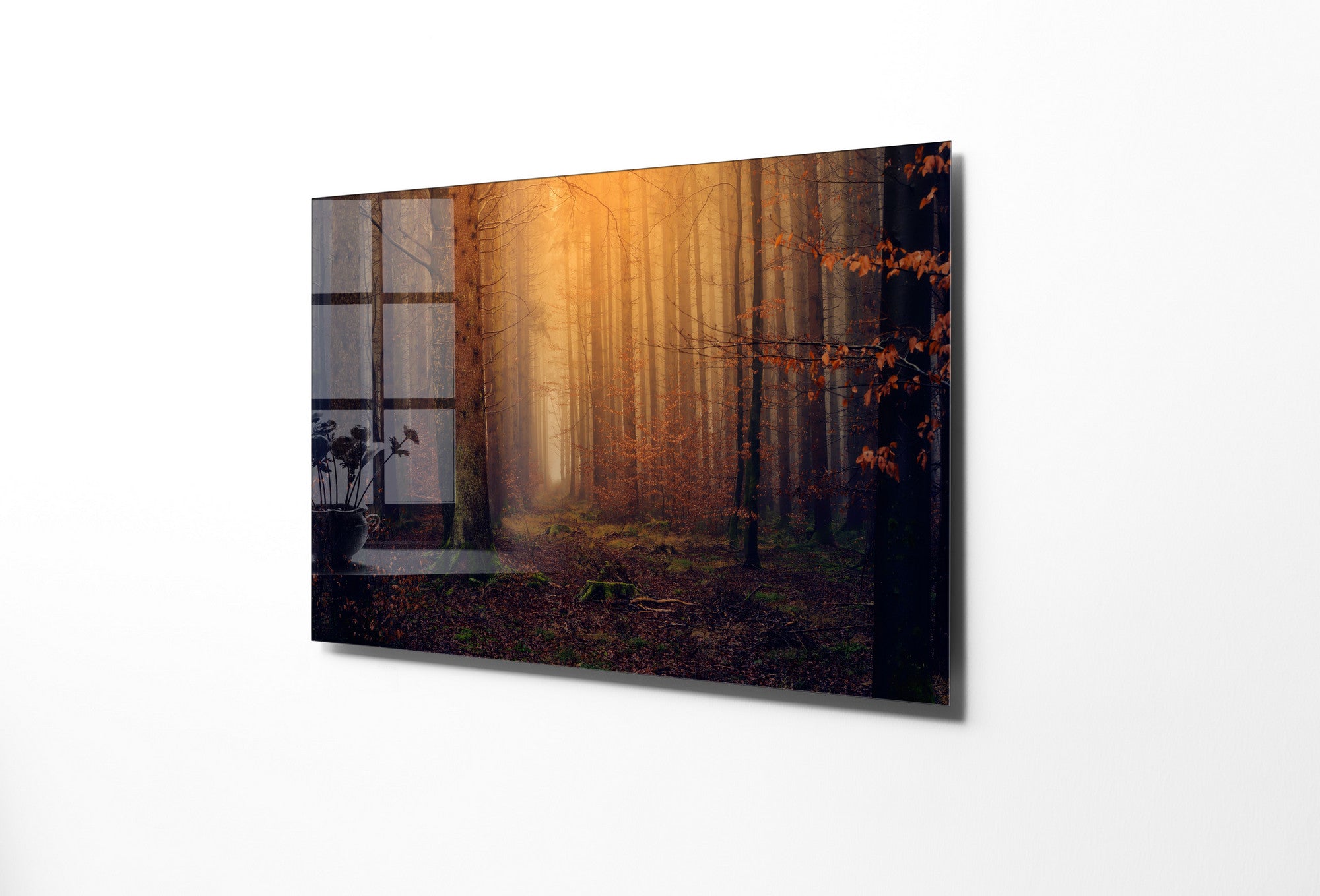 970GLS2440Tribo Home