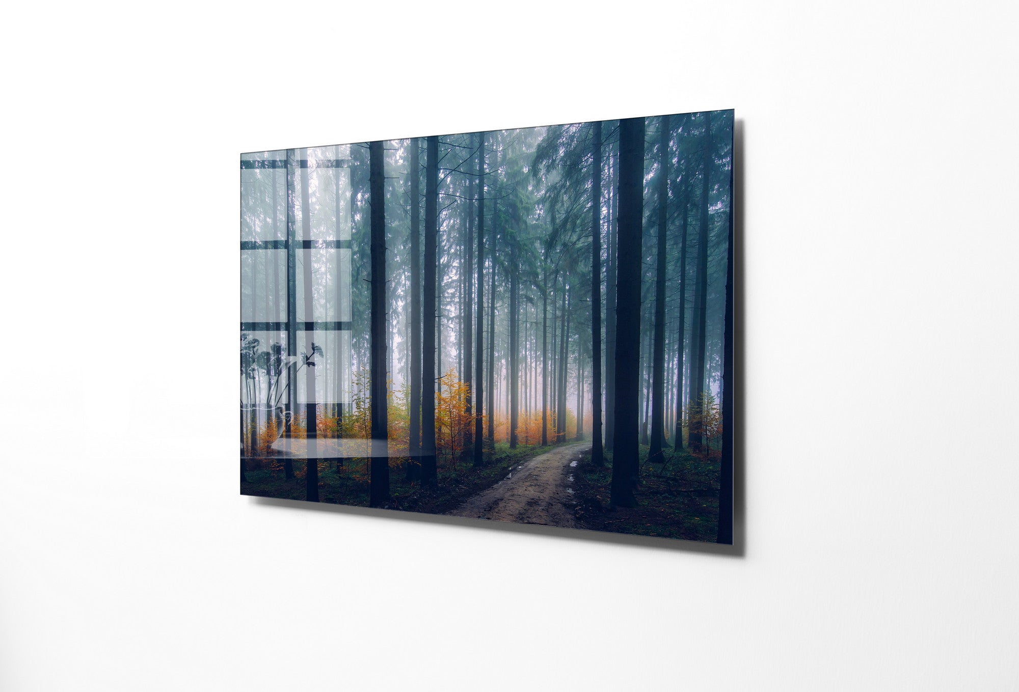 970GLS2446Tribo Home