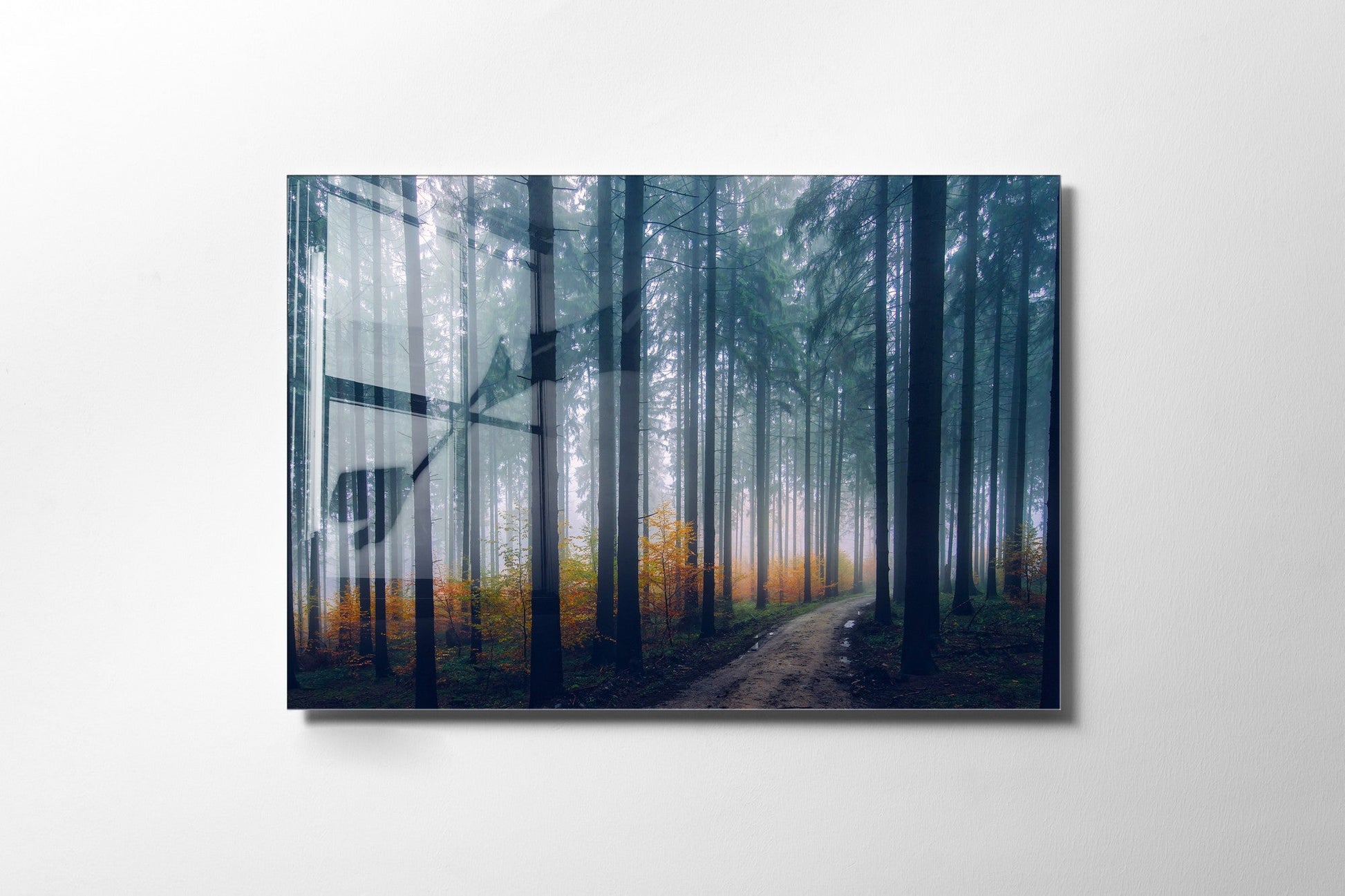 970GLS2448Tribo Home