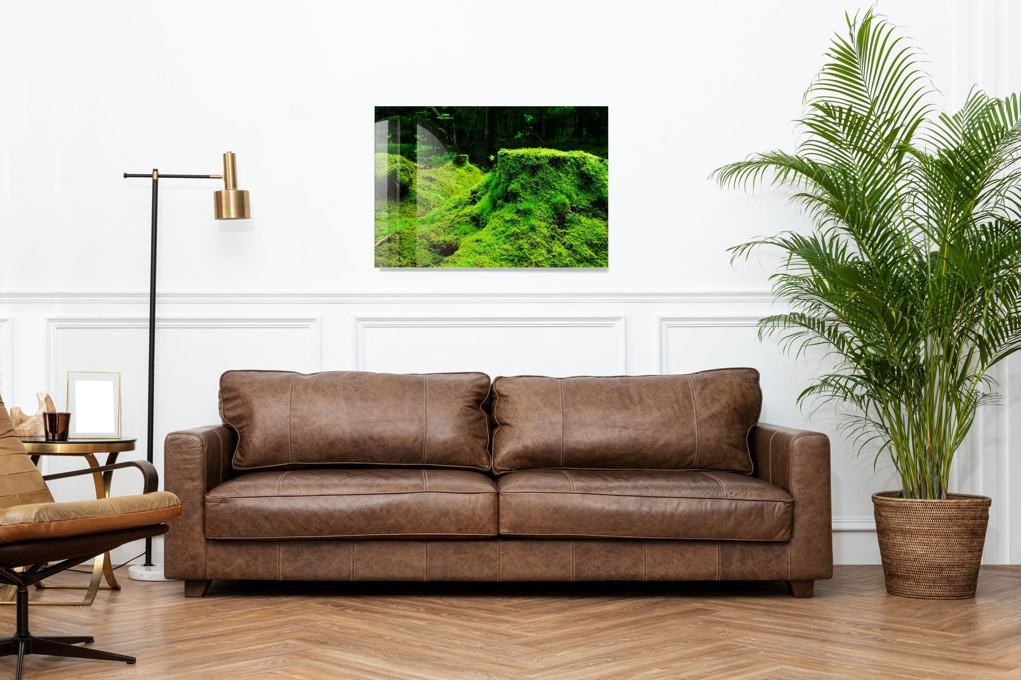 970GLS2449Tribo Home