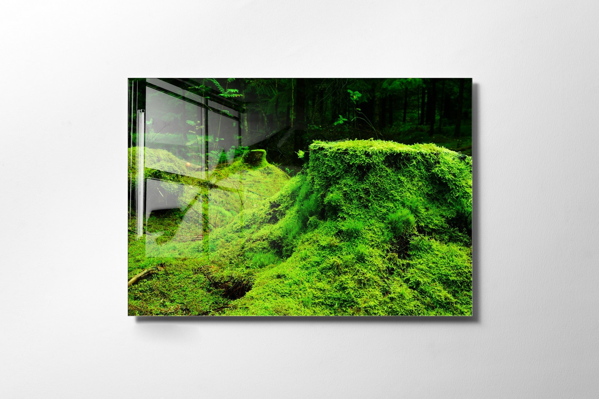 970GLS2449Tribo Home