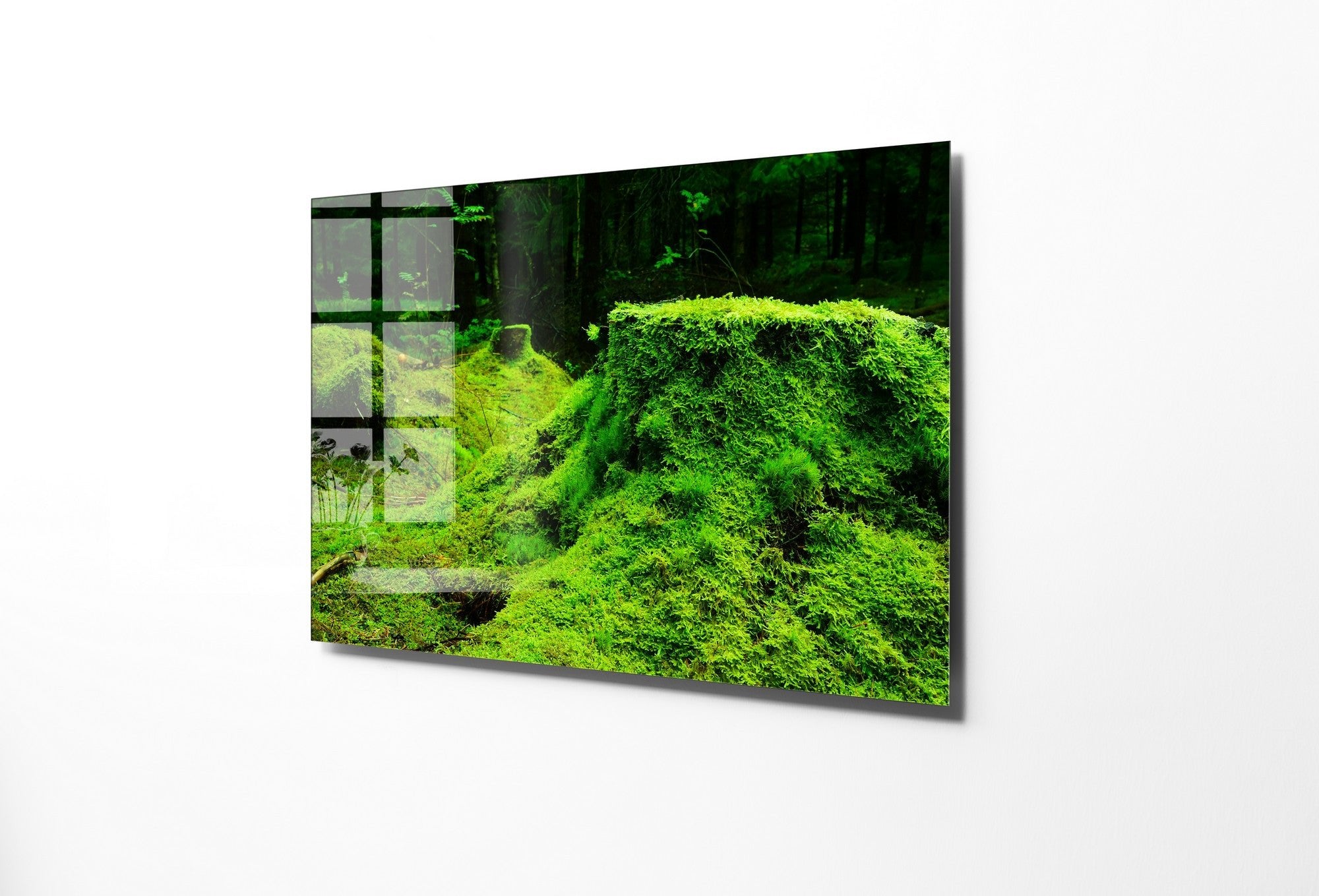 970GLS2450Tribo Home