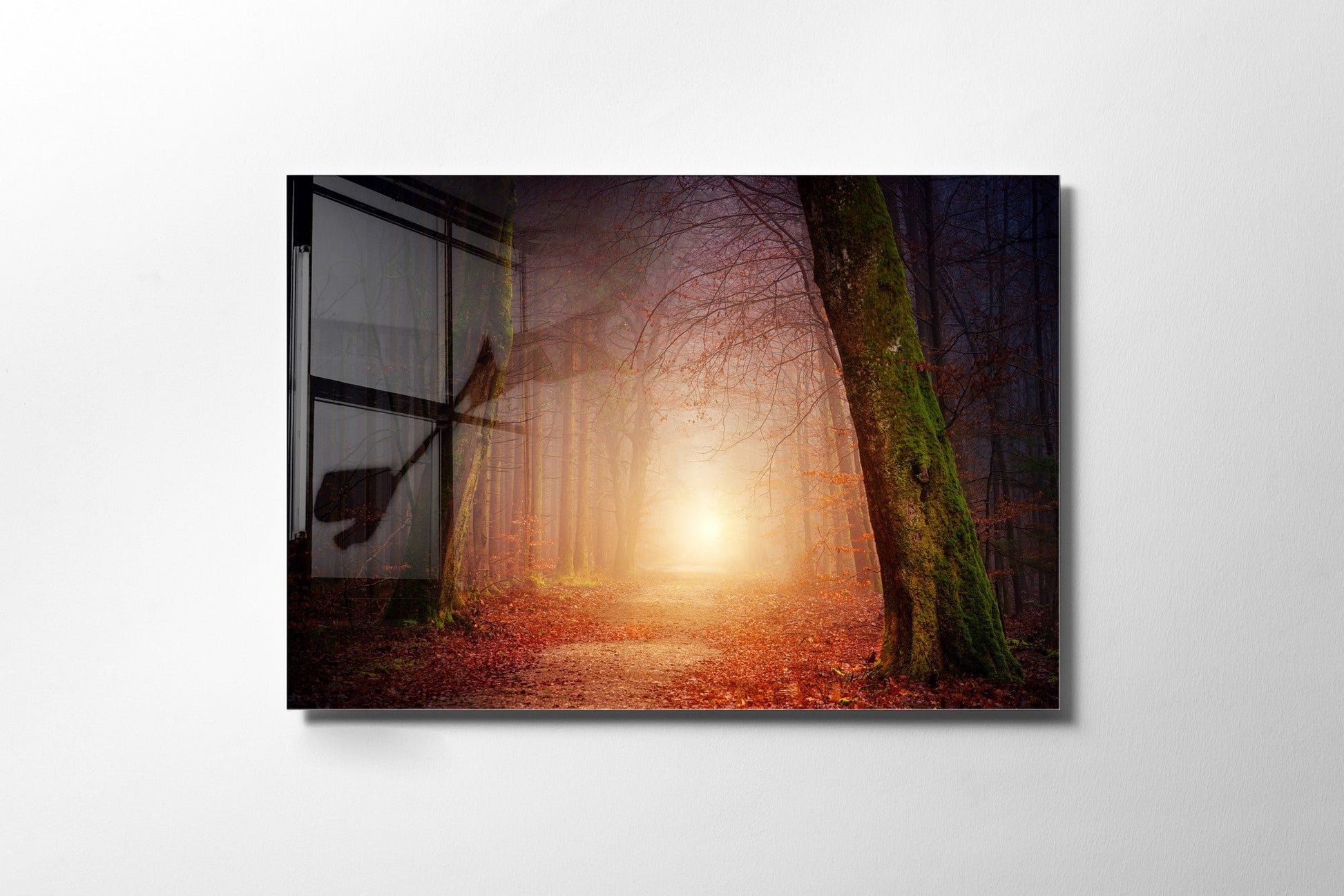 970GLS2453Tribo Home