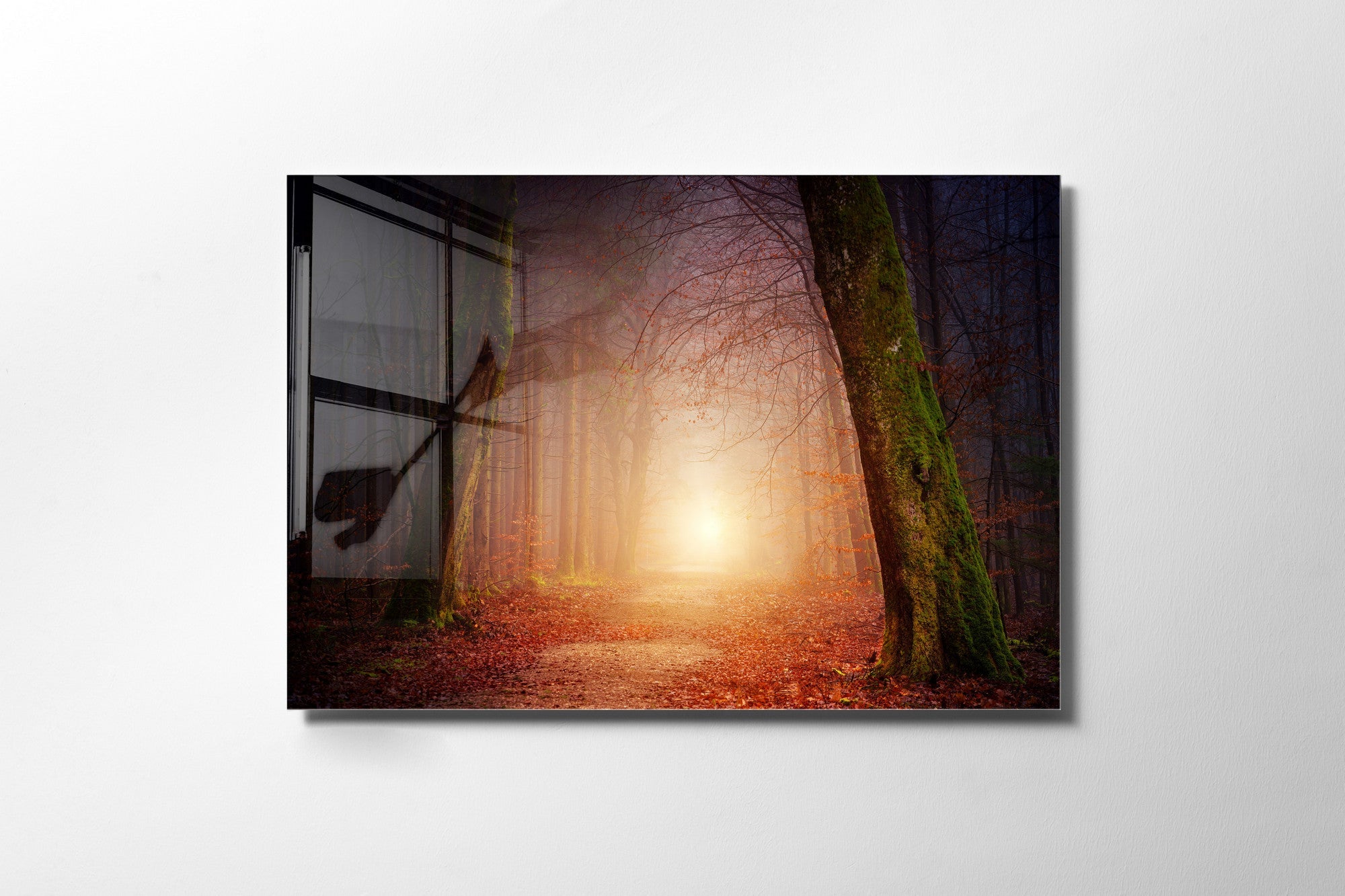 970GLS2455Tribo Home