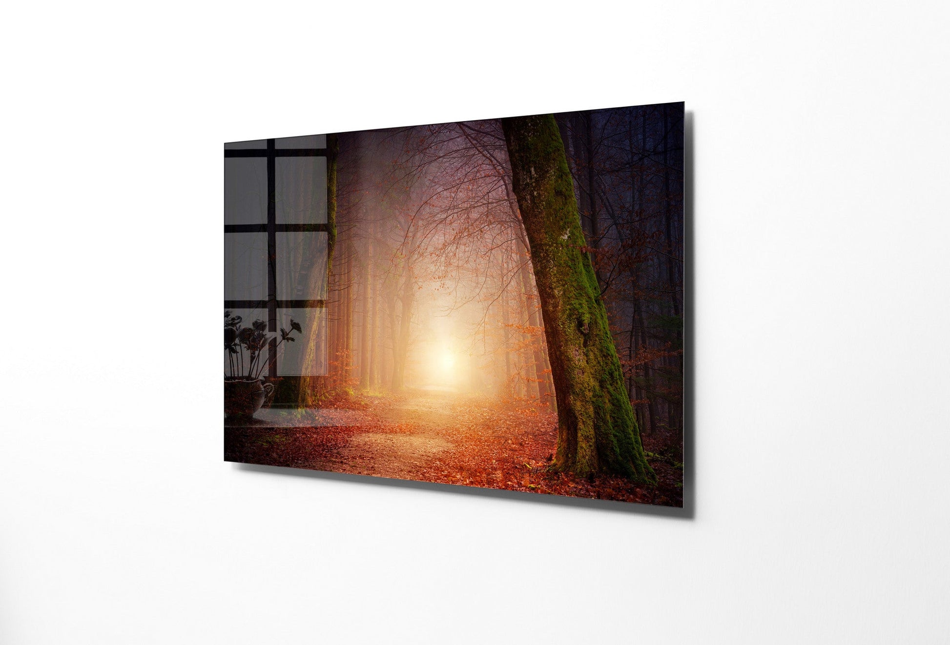 970GLS2456Tribo Home