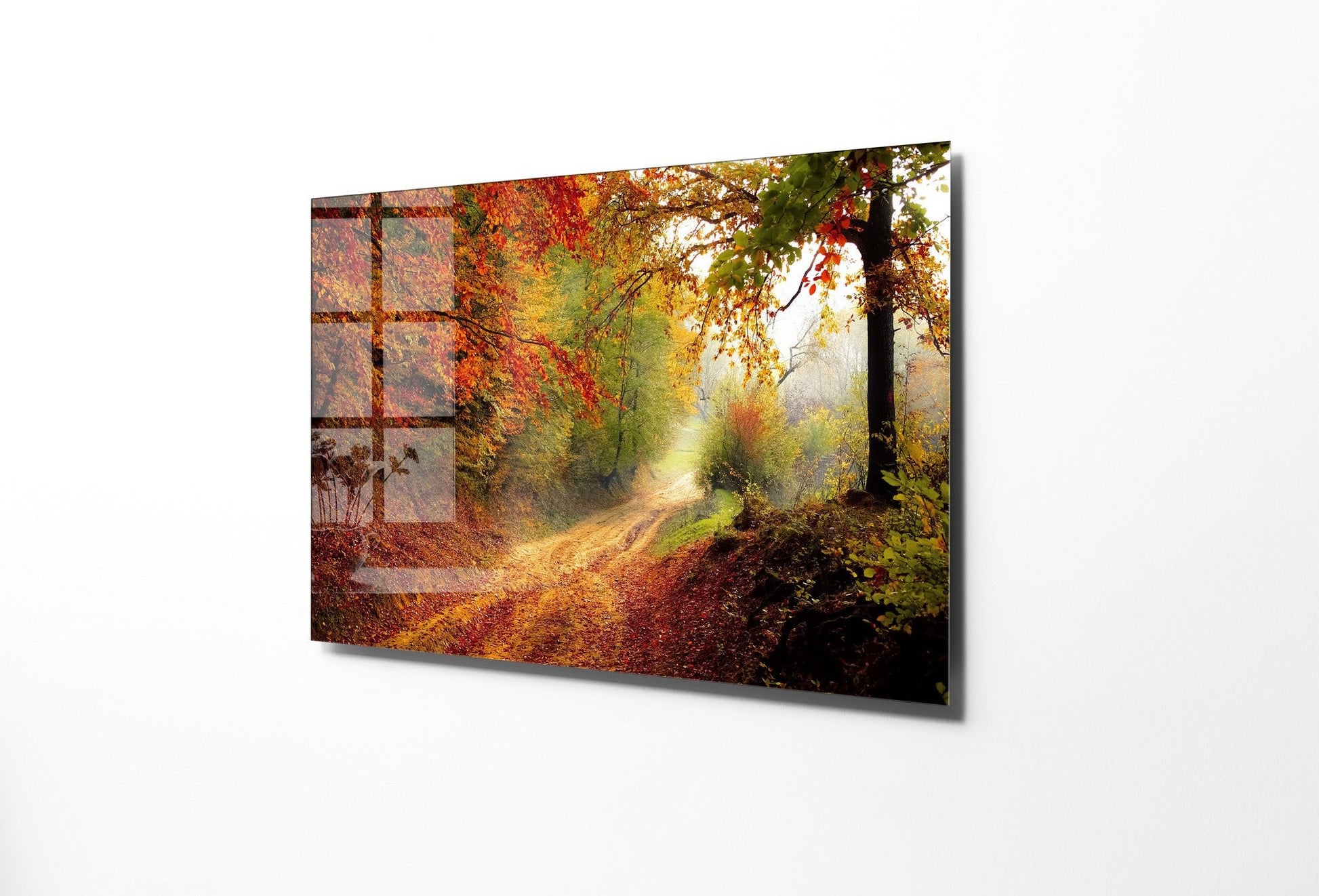 970GLS2457Tribo Home