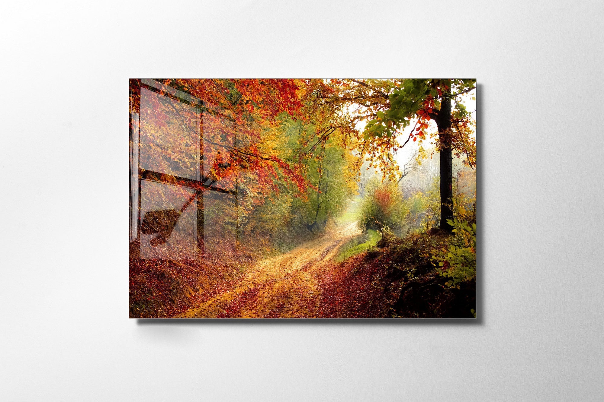 970GLS2457Tribo Home