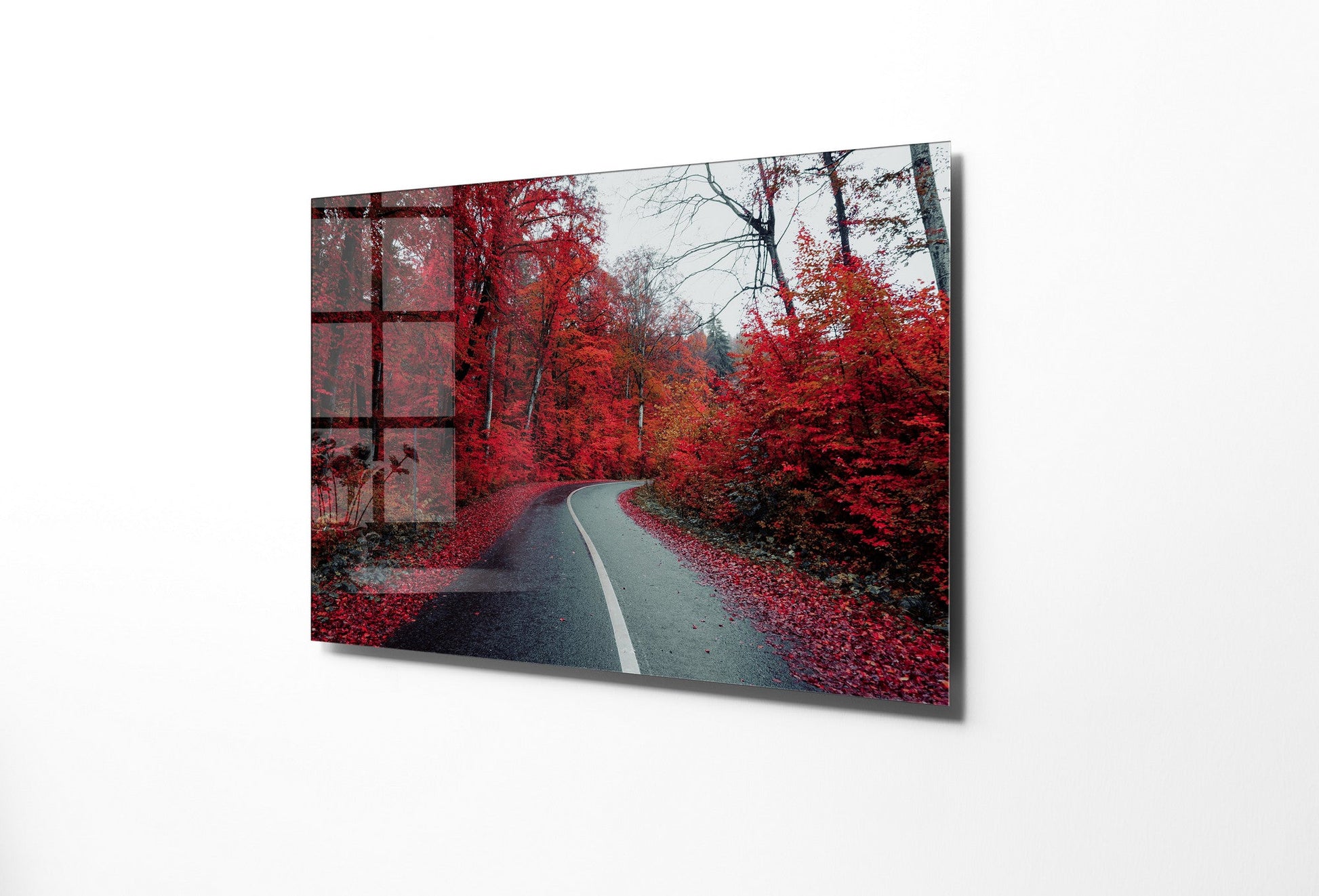 970GLS2463Tribo Home