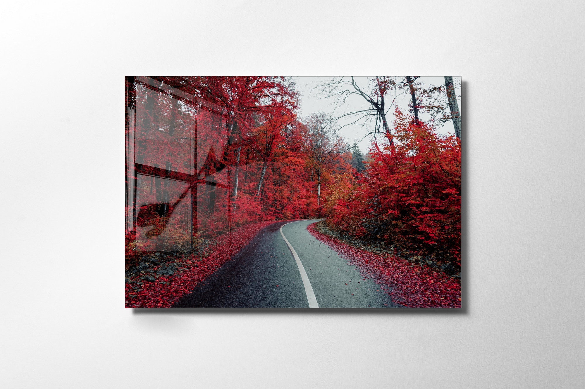 970GLS2463Tribo Home