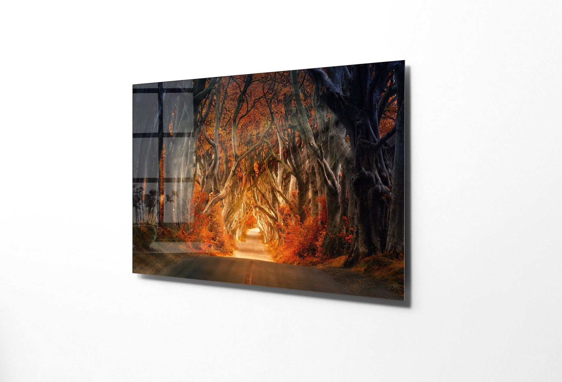 970GLS2467Tribo Home