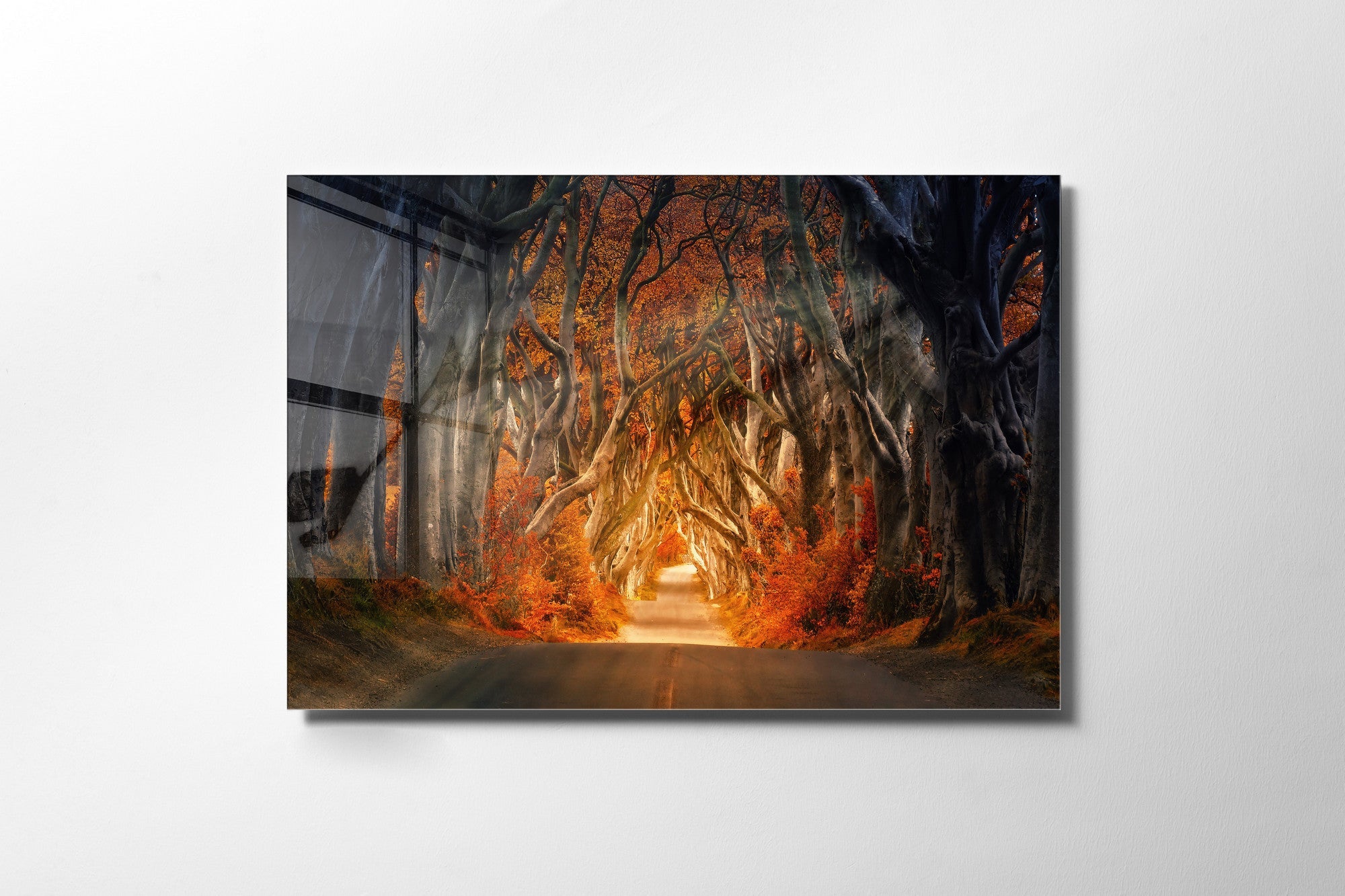 970GLS2467Tribo Home