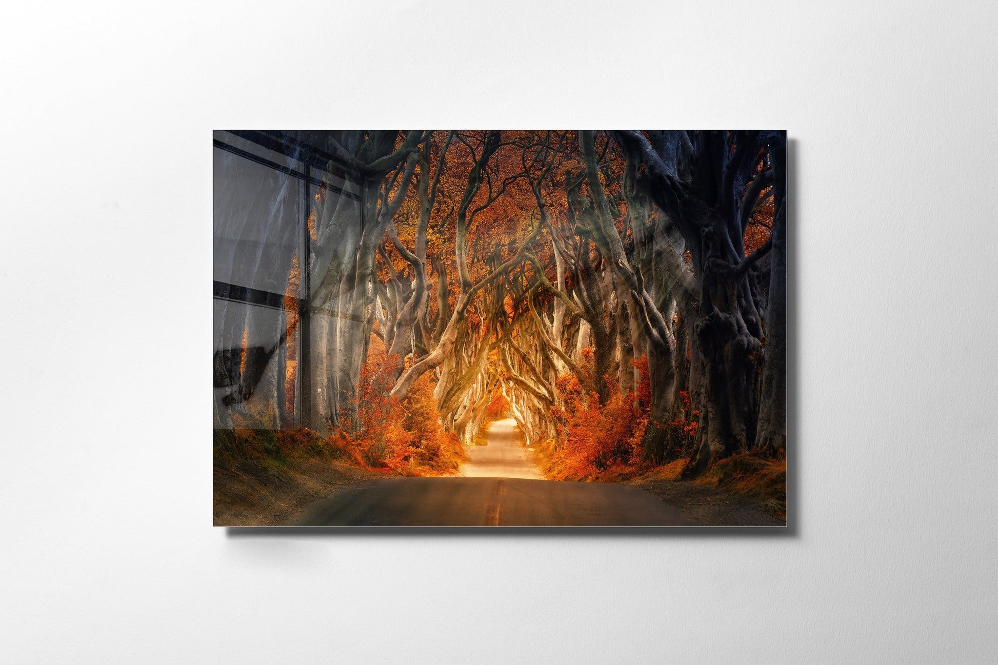 970GLS2468Tribo Home