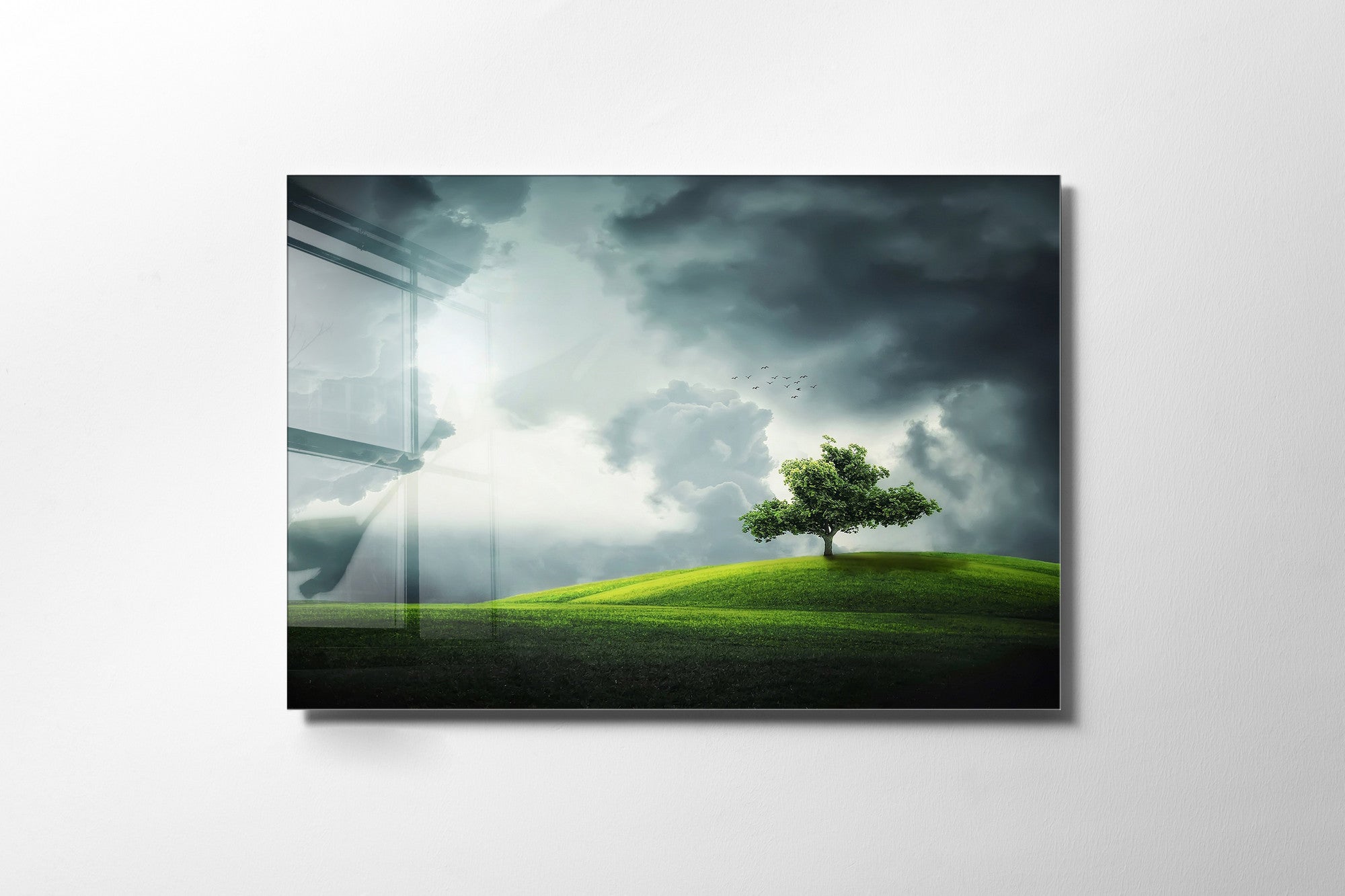 970GLS2469Tribo Home