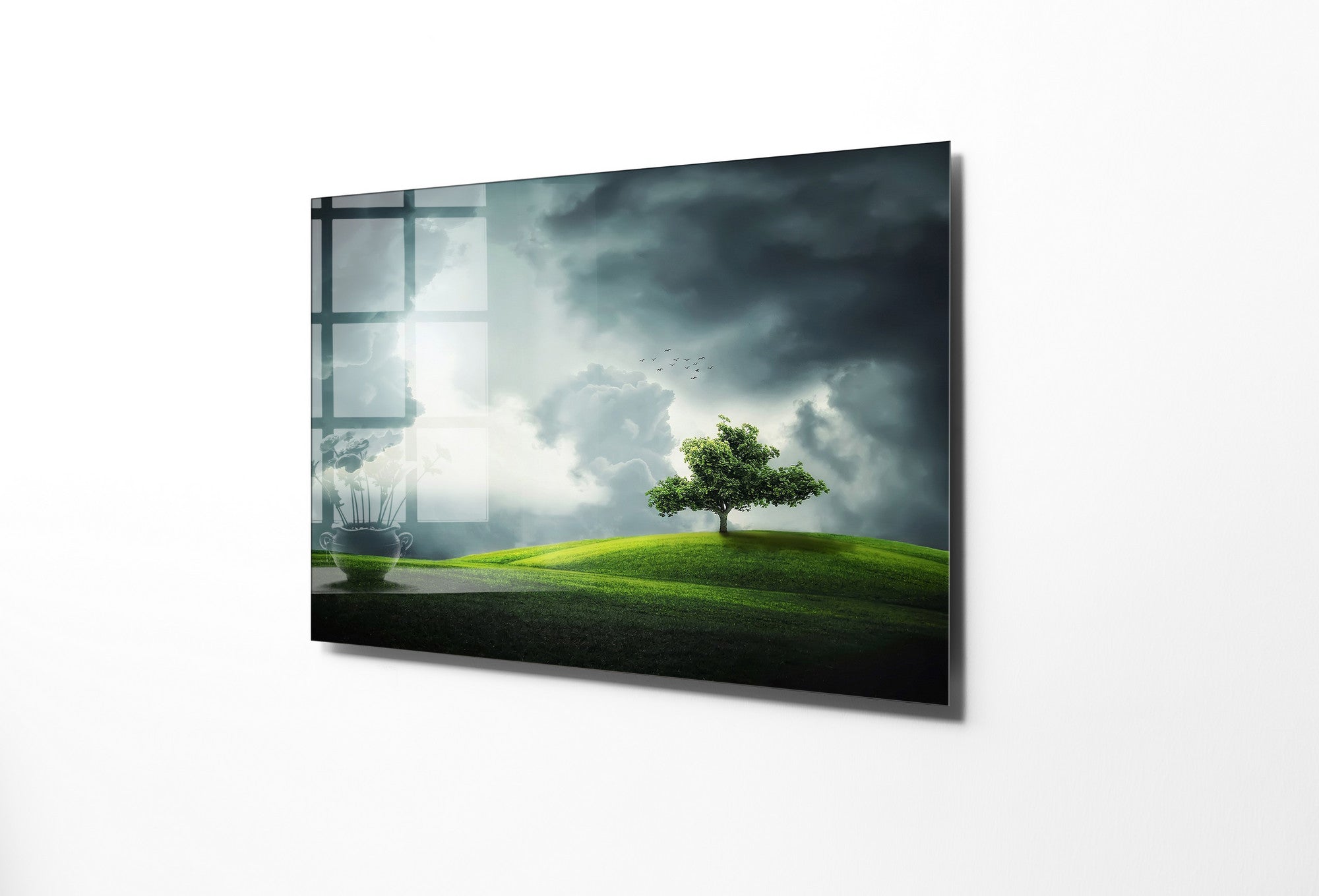 970GLS2471Tribo Home