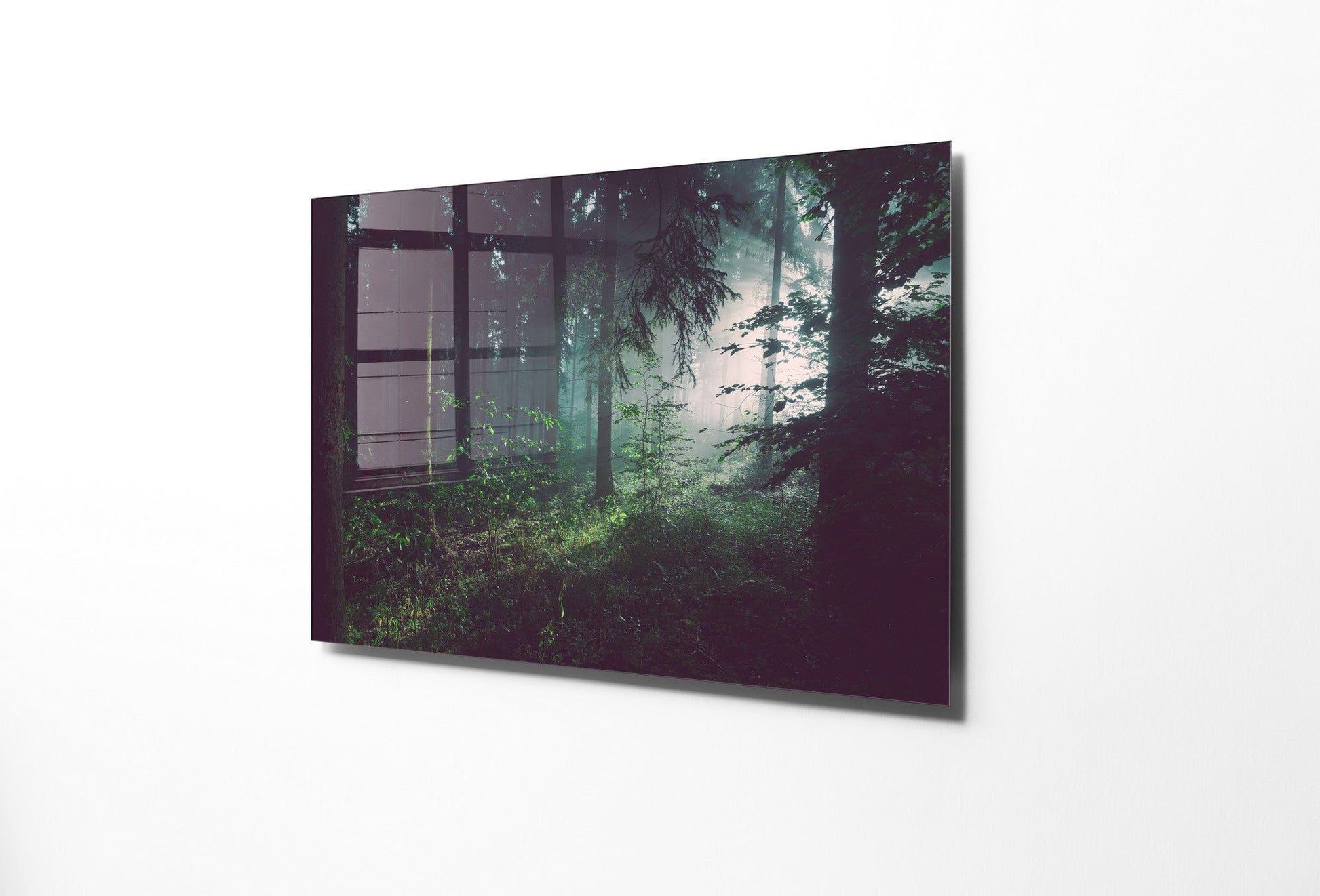 970GLS2475Tribo Home