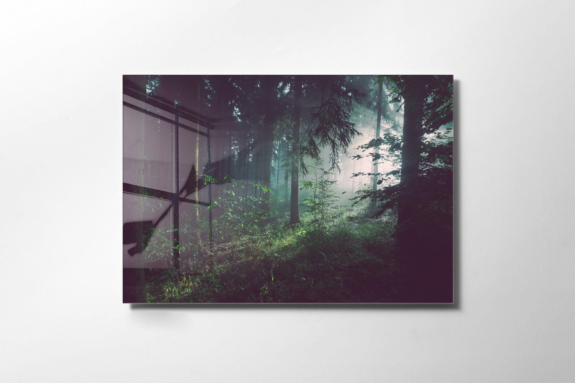 970GLS2475Tribo Home