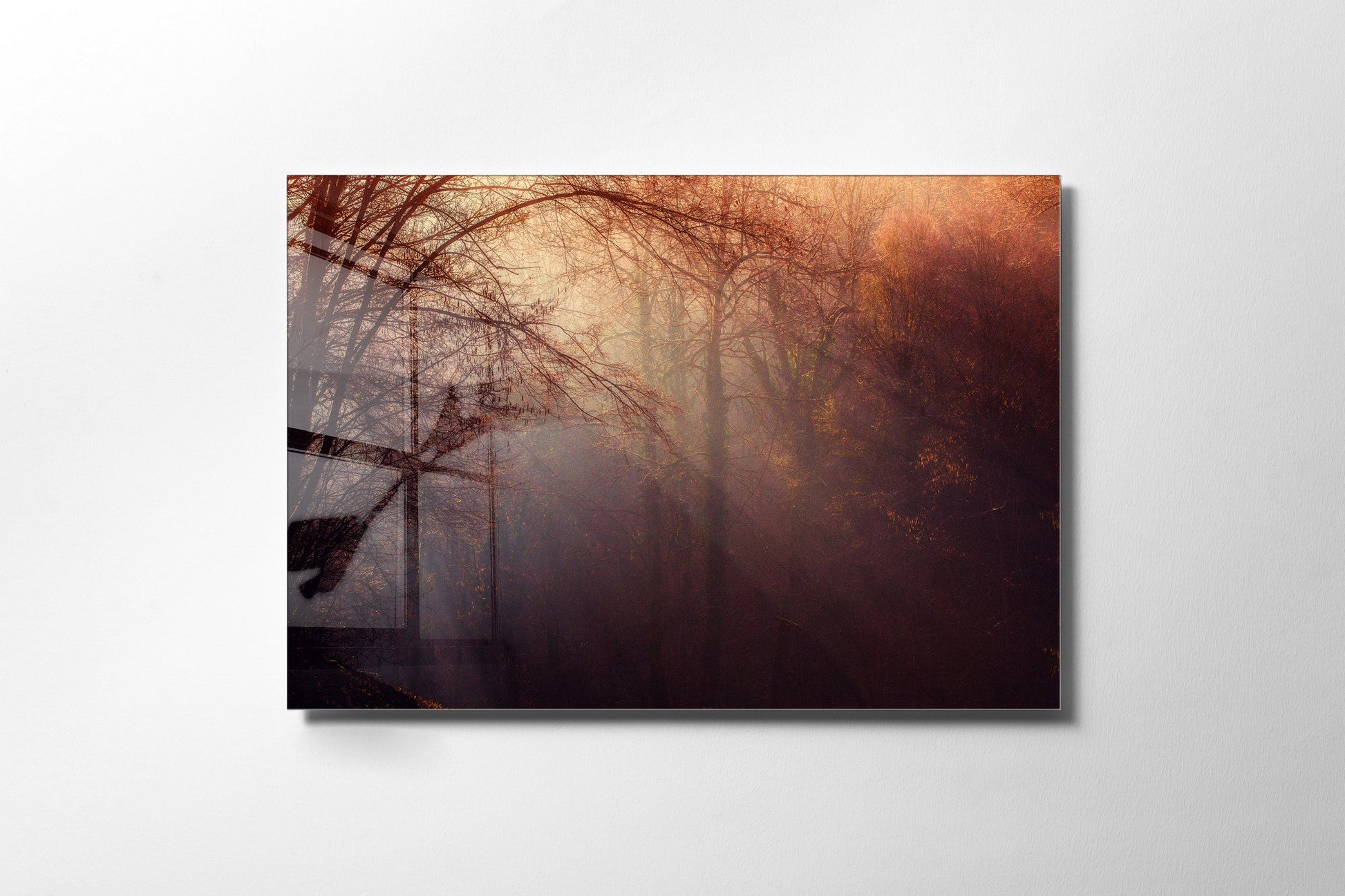 970GLS2478Tribo Home