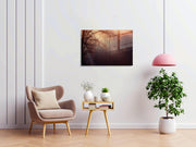 970GLS2478Tribo Home