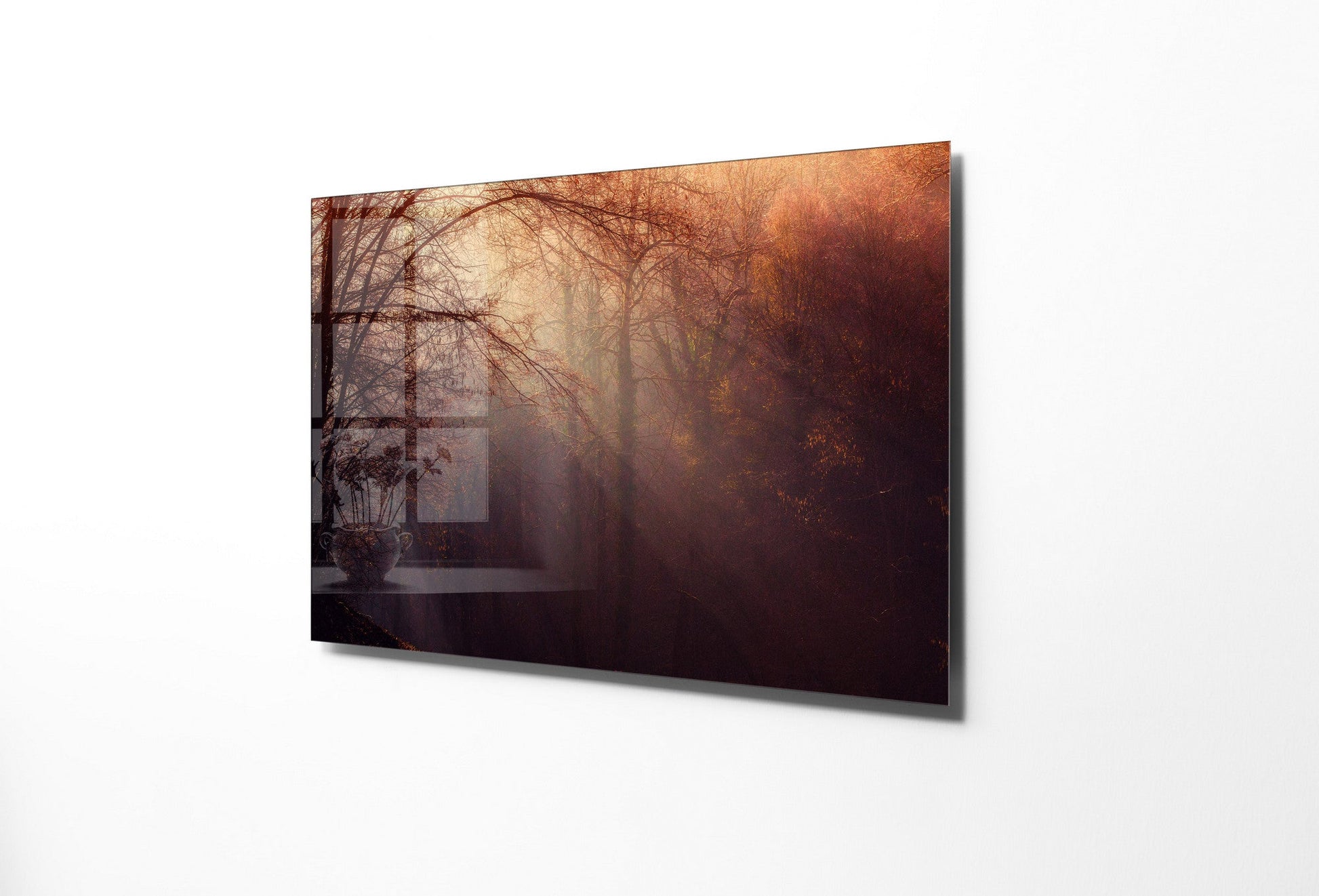 970GLS2480Tribo Home