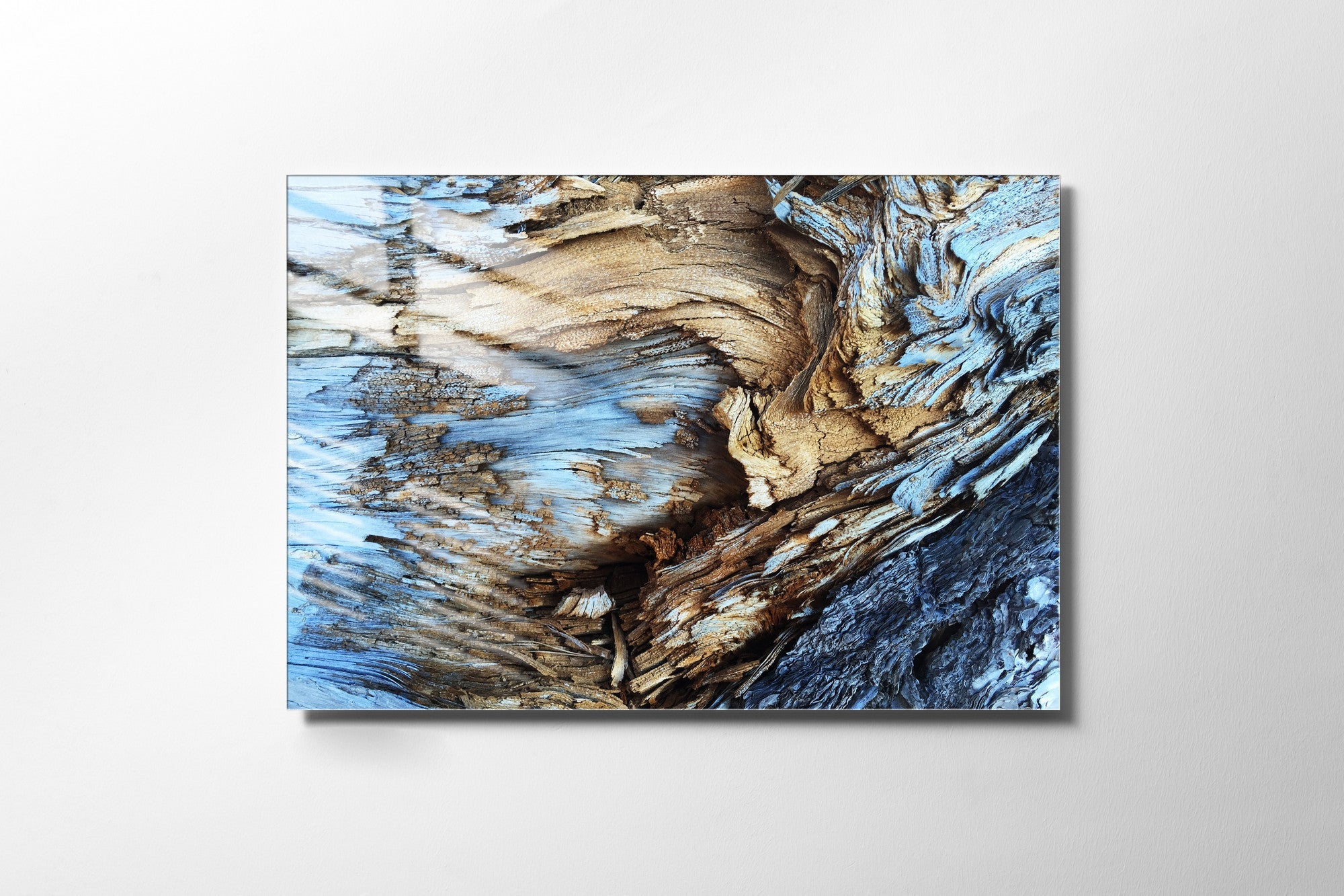 970GLS2505Tribo Home