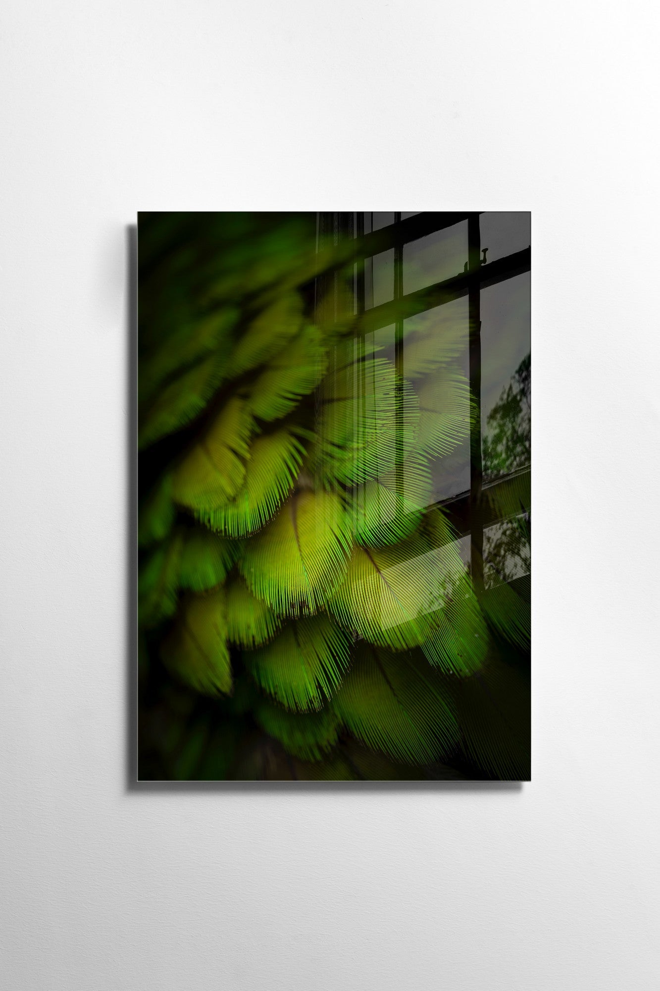 970GLS2560Tribo Home