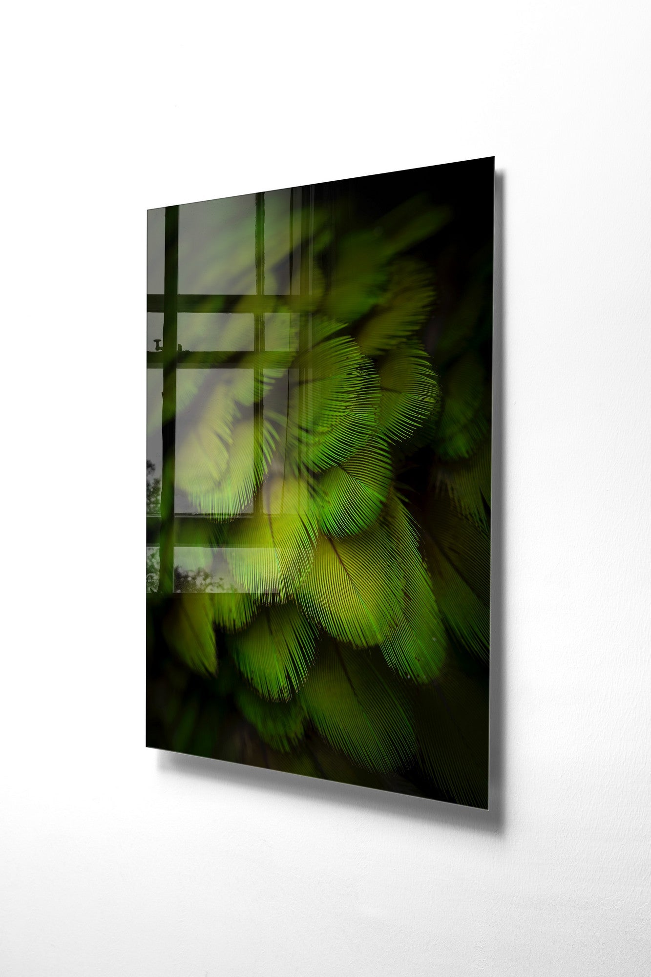 970GLS2560Tribo Home