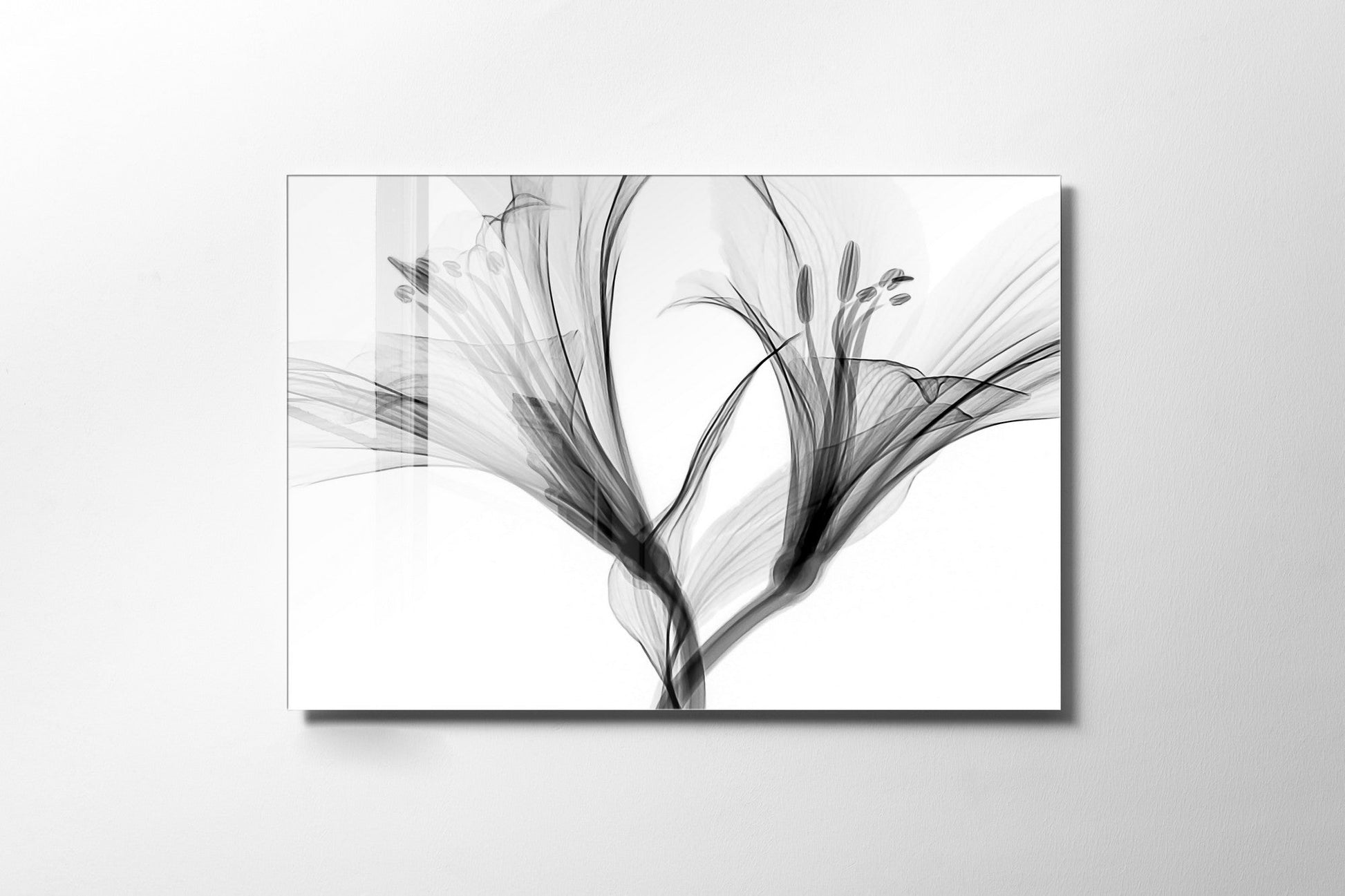 970GLS2659Tribo Home