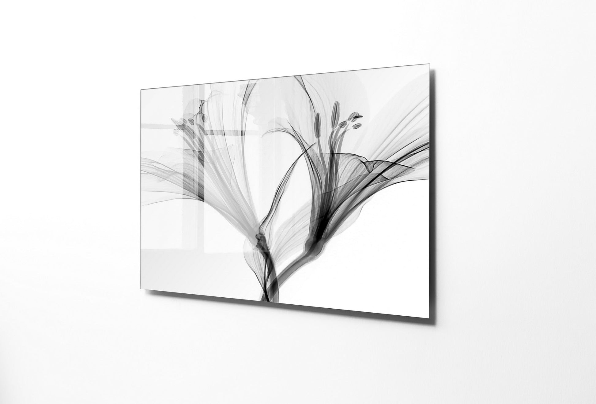 970GLS2661Tribo Home