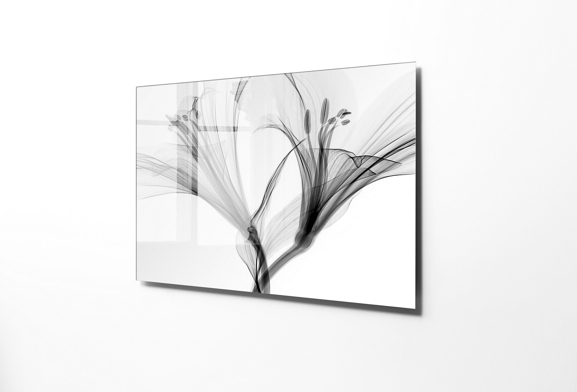 970GLS2662Tribo Home