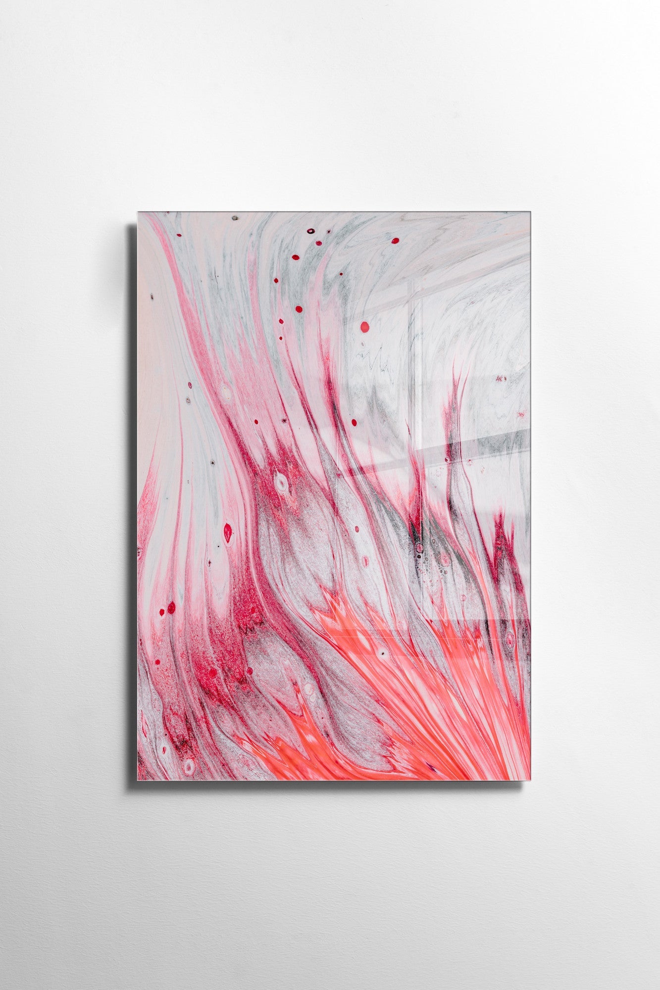 970GLS2713Tribo Home