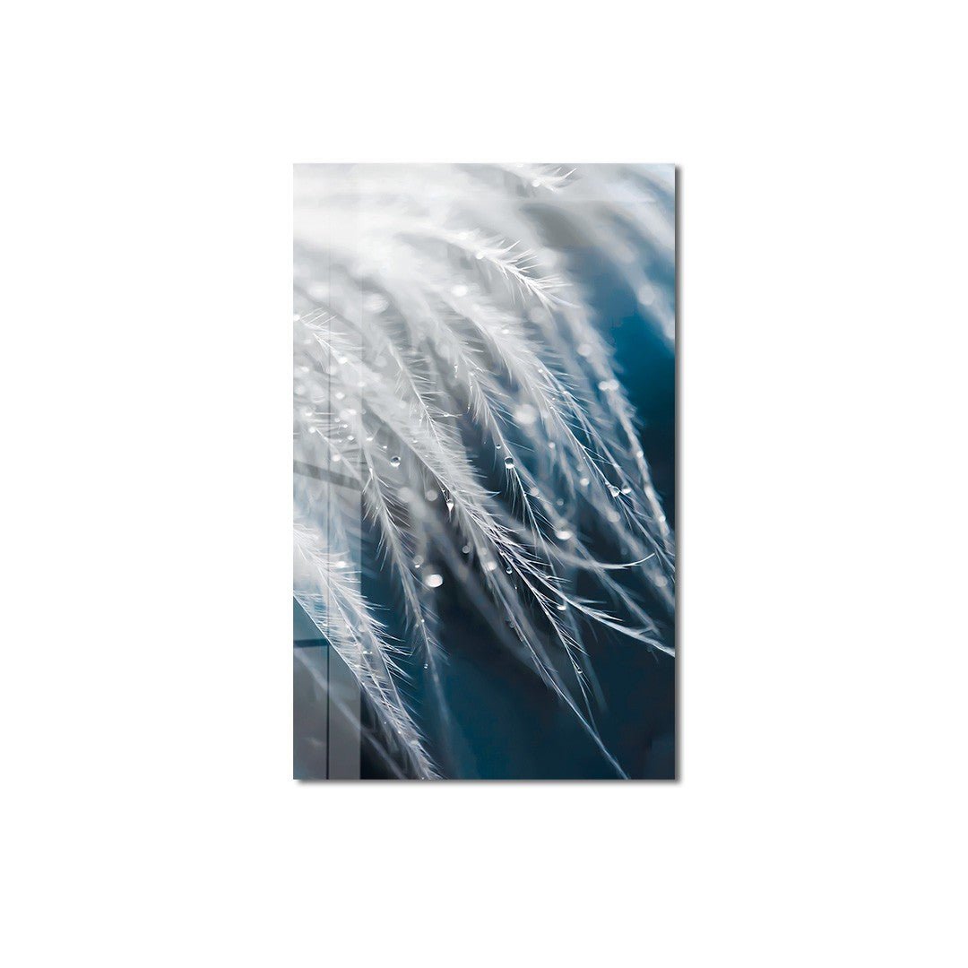 975GSR1130Tribo Home