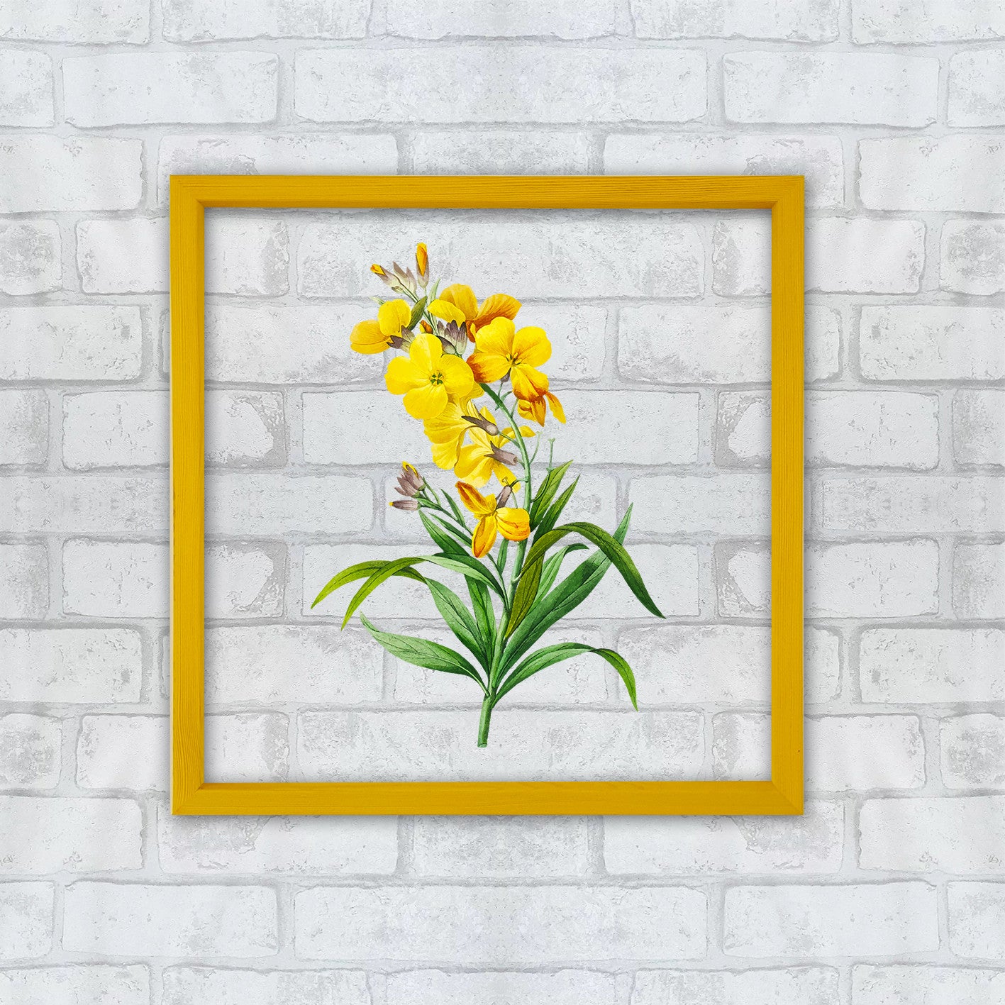 Quadro Decorativo Multicolor CAM26512 - Impressão Digital UV em Vidro 3mm com Moldura de Madeira 32x32cm