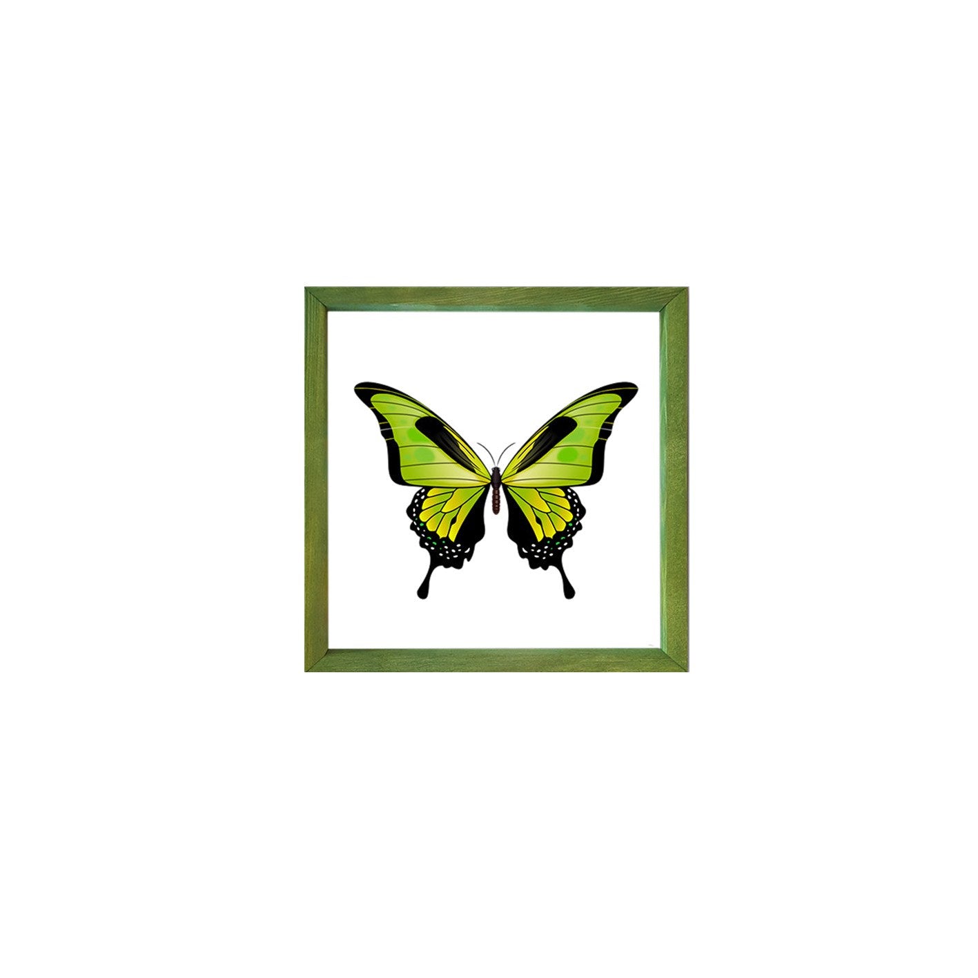 Quadro Decorativo Multicolor com Moldura de Madeira - Impressão Digital UV em Vidro 32x32cm