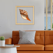 Quadro Decorativo Multicolor 32x32cm com Moldura de Madeira e Vidro UV